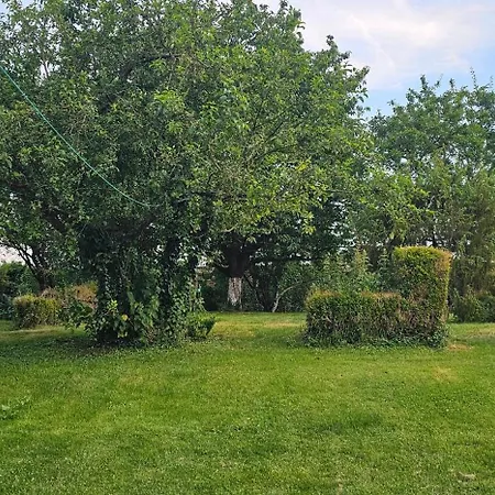 Le Carré Aux Buis, Maison Avec Jardin Sud Amiens